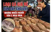 Cá rẻ tiền bán đầy chợ Việt nhưng nhiều người vẫn ngại mua vì sao?