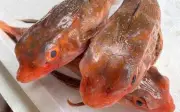 Cá tắc kè: Đặc sản biển Nam Trung Bộ từng bị chê xấu nay được săn lùng
