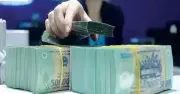 Cổ tức tiền mặt cao chót vót: May Phan Thiết 50%, Phân lân Ninh Bình 50%