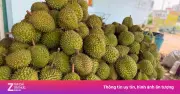 Cadimi sầu riêng: Lỗ hổng kỹ thuật hay hồi chuông cảnh báo cho ngành hàng tỷ USD?