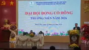 Cao-su Phước Hòa báo lãi năm 2025 tăng 8%, đặt mục tiêu doanh thu 2.280 tỷ đồng năm 2026