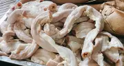 Cách chọn và luộc lòng non ngon, giòn, không bị dai