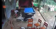 Chú chó mất tích 5 tháng bất ngờ tìm đường về nhà khiến chủ xúc động
