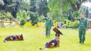 Chó nghiệp vụ biên phòng Tây Ninh: Lá chắn thầm lặng chống tội phạm xuyên biên giới