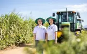 Chủ tịch AgriS đăng ký mua thêm 4,6% cổ phiếu SBT, củng cố quyền kiểm soát