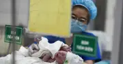 Chế độ thai sản 7 tháng từ 1/7/2026: Chưa có hướng dẫn chi trả