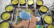 Chùa Hoằng Pháp đỏ lửa suốt 3 ngày làm 60.000 bánh xèo chay mùa Phật đản
