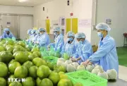 Chìa khóa nâng tầm năng lực cạnh tranh quốc tế