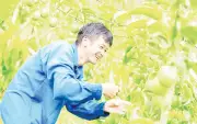 Chanh leo giúp đồng bào dân tộc Lai Châu thoát nghèo và làm giàu