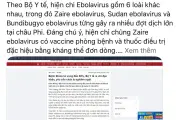 Chia sẻ tin báo chí trên mạng xã hội không xin phép bị phạt tới 30 triệu