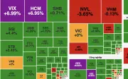 Chứng khoán rung lắc mạnh, VN-Index tăng 16 điểm nhờ lực cầu cuối phiên