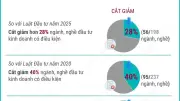 Chính phủ ban hành 11 nghị quyết cắt giảm chi phí tuân thủ thủ tục hành chính