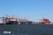Chính phủ Mỹ kháng cáo phán quyết của tòa về mức thuế quan toàn cầu