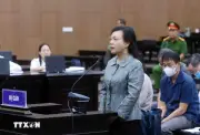Chuỗi sai phạm và trách nhiệm người đứng đầu của bị cáo Nguyễn Thị Kim Tiến