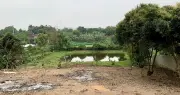 Chuyển đổi đất vườn ao sang đất ở Hà Nội: Quy định thời gian xử lý 15 ngày