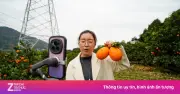 Cơn sốt cán bộ thôn nhảy múa, livestream bán nông sản ở Trung Quốc