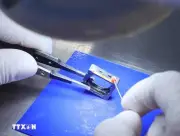 Cần Thơ hỗ trợ tới 200 tỷ đồng cho dự án chip bán dẫn và AI