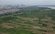 Công khai thông tin vi phạm đất đai trên Cổng thông tin Bộ Nông nghiệp