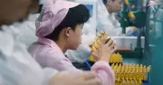 Công nhân thử tới 10.000 chiếc vape mỗi ngày gây sốc