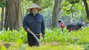 Cảnh báo nguy cơ say nắng, sốc nhiệt: Nhiều ca nhập viện cấp cứu