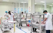 Cảnh báo nhiều trẻ bị chó cắn nguy kịch phải nhập viện