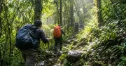 Cảnh báo trekking tự phát tại Vườn quốc gia Chư Yang Sin