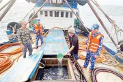 Cảnh sát biển Việt Nam tăng cường chống khai thác IUU và tội phạm trên biển