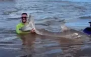 Cặp đôi nha sĩ câu được cá trê piraiba khổng lồ dài 2,24m ở Brazil