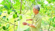 Cựu chiến binh An Giang: Từ nghị lực vượt khó đến giúp đỡ cộng đồng