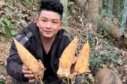 Cứu lợn rừng rơi vách đá, người đàn ông nhận quả báo bất ngờ