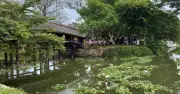 Cầu ngói Thanh Toàn ô nhiễm nặng vì rác thải trôi dạt