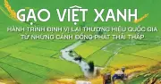 Cuộc chuyển mình xanh của ngành lúa gạo Việt Nam
