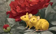 Cuộc sống rực rỡ như đóa hồng: 4 con giáp nữ càng trưởng thành càng giàu sang quyền rũ