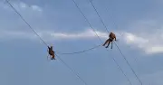 Cuộc thi viết và ảnh về ngành điện TP.HCM với tổng giải thưởng 220 triệu đồng