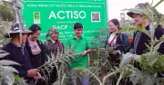 Cây Actiso đổi đời người Mông: Từ làm thuê đến xây nhà 1,6 tỷ, cho con du học Nhật