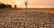 Dự báo Siêu El Niño 2026: Xác suất 100%, tác động đến Việt Nam