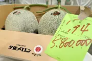 Dưa lưới Hokkaido thương hạng Nhật Bản đạt mức giá kỷ lục 36.500 USD