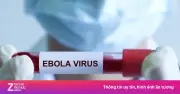 Dịch Ebola diễn biến phức tạp, Bộ Y tế họp khẩn triển khai ứng phó