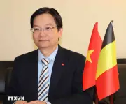 Doanh nghiệp Bỉ quan tâm tăng cường hợp tác đầu tư thương mại với Việt Nam