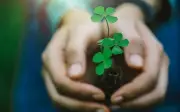 Dấu hiệu nhận biết bạn sắp gặp may mắn trong cuộc sống