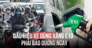 Dấu hiệu xe máy dùng xăng E10 cần bảo dưỡng gấp