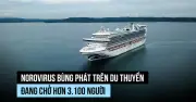 Du thuyền bùng dịch norovirus, hơn 100 người nhiễm