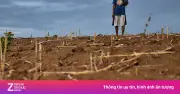 El Nino 2026 có thể mạnh nhất lịch sử, đe dọa an ninh lương thực