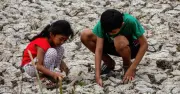 El Nino xuất hiện sớm, có thể đạt cường độ mạnh vào cuối năm 2026