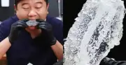Gà rán trong suốt như pha lê gây sốt mạng xã hội
