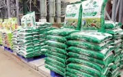 Giá bán phân bón trong nước chững lại theo xu hướng thế giới