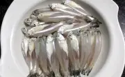 Gỏi cá mai: Tinh hoa ẩm thực ven biển Nam Trung Bộ