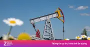 Giá dầu thô lao dốc khi Mỹ tạm dừng hộ tống tàu qua eo biển Hormuz