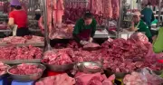 Giá heo hơi hôm nay: Miền Bắc và Trung tăng nhẹ, miền Nam ổn định