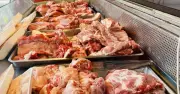 Giá heo hơi miền Bắc ổn định 67.000-68.000 đồng/kg cuối tuần